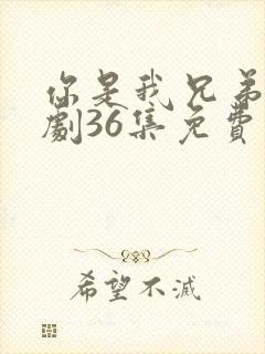 你是我兄弟电视剧36集免费观看