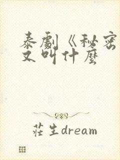 泰剧《秘密爱》又叫什么