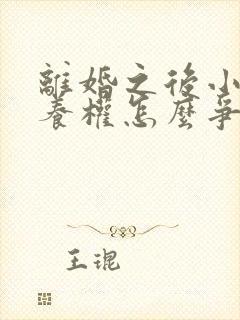 离婚之后小孩抚养权怎么争取