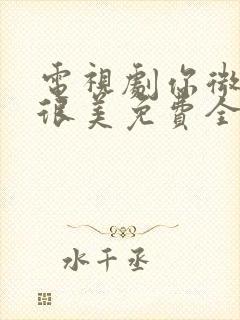 电视剧你微笑时很美免费全集