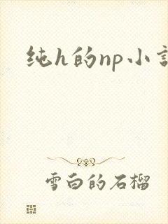 纯h的np小说