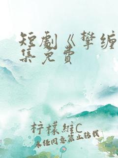 短剧《攀缠》全集免费