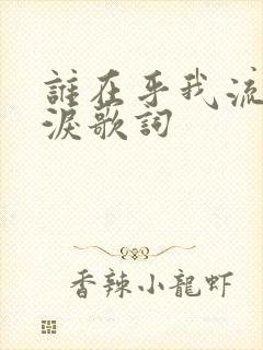 谁在乎我流下的泪歌词