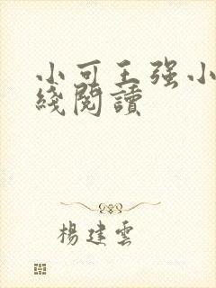 小可王强小说在线阅读