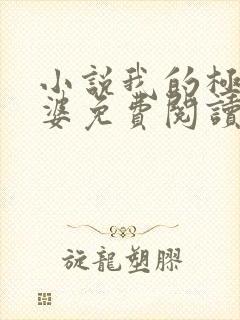 小说我的极品老婆免费阅读