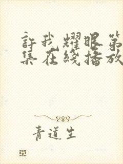 许我耀眼第18集在线播放