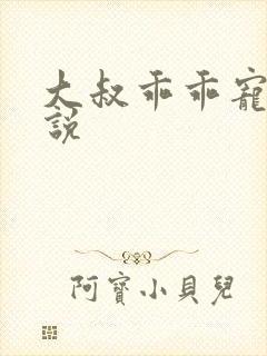 大叔乖乖宠我小说