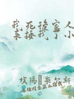 我死后家人终于来接我了小说免费阅读