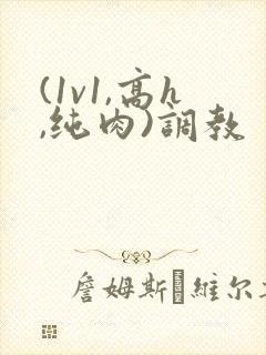 (1v1,高h,纯肉)调教
