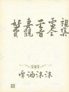 好妻子电视剧免费观看全集西瓜