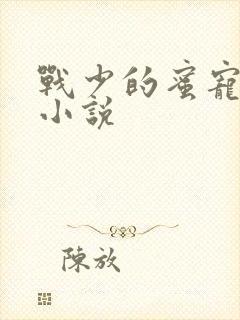 战少的蜜宠娇妻小说