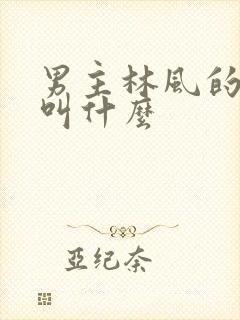 男主林风的短剧叫什么