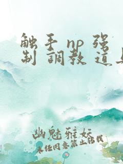 触手 np 强制 调教 道具 文