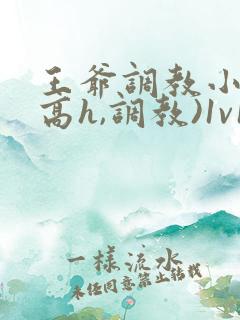 王爷调教小说(高h,调教)1v1