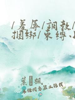 /羞辱/调教/捆绑/束缚小说