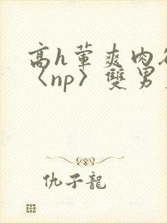 高h荤爽肉欲文〈np〉双男主