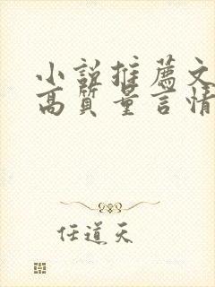 小说推荐文笔好高质量言情