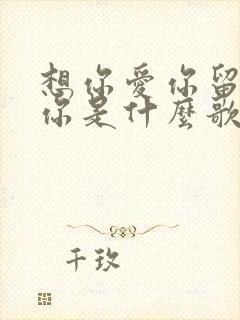 想你爱你留不住你是什么歌曲