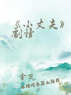 《小丈夫》分集剧情