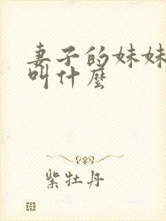 妻子的妹妹应该叫什么