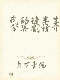 我的后半生剧情分集剧情介绍大结局