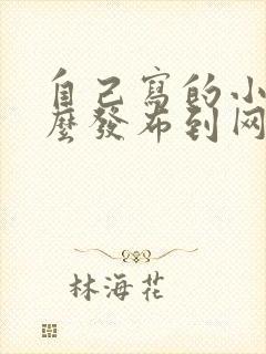 自己写的小说怎么发布到网上赚钱呢