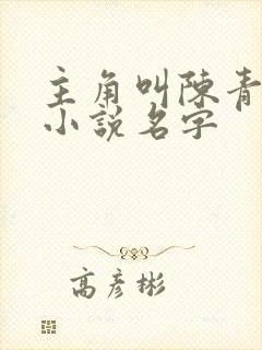 主角叫陈青阳的小说名字