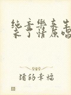 纯音乐来生再续未了情原唱