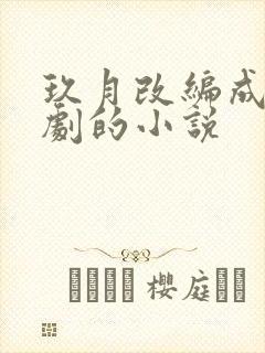 玖月改编成电视剧的小说