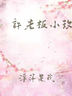 许老板小玫