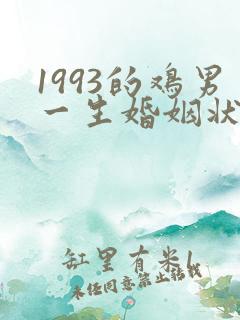 1993的鸡男一生婚姻状况