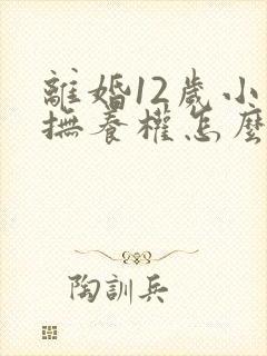 离婚12岁小孩抚养权怎么判定