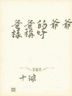 爸爸的爷爷怎么样称呼