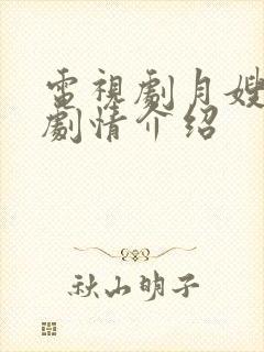 电视剧月嫂先生剧情介绍