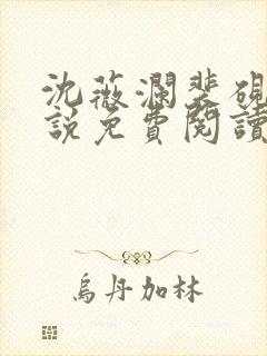 沈薇澜裴砚舟小说免费阅读最新章节