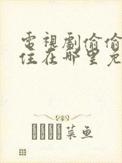 电视剧偷偷藏不住在哪里免费看