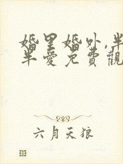 婚里婚外,半欢半爱免费观看