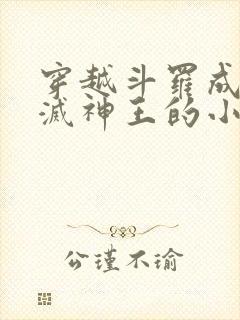 穿越斗罗成为毁灭神王的小说