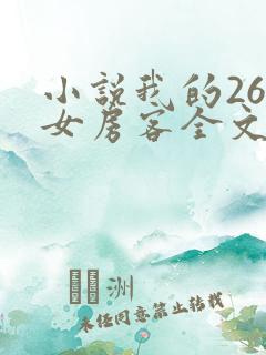 小说我的26岁女房客全文在线阅读
