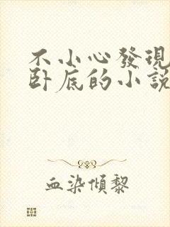 不小心发现她是卧底的小说番外