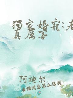 独家婚宠:老公真厉害