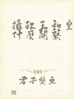 摄政王和皇帝是什么关系