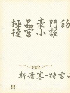 极品豪门的极品后宫小说