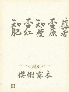 知否知否应是绿肥红瘦原著小说是什么