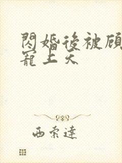 闪婚后被顾先生宠上天