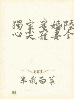 独家蜜婚陆少的心尖宠妻全文阅读