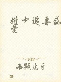 权少追妻盛婚秘爱