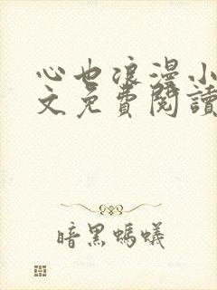 心也浪漫小说全文免费阅读