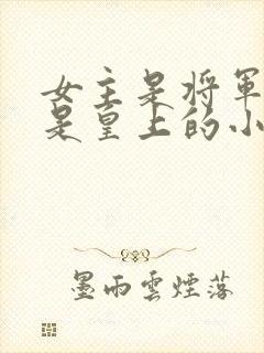 女主是将军男主是皇上的小说