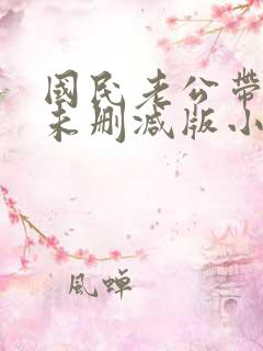 国民老公带回家未删减版小说